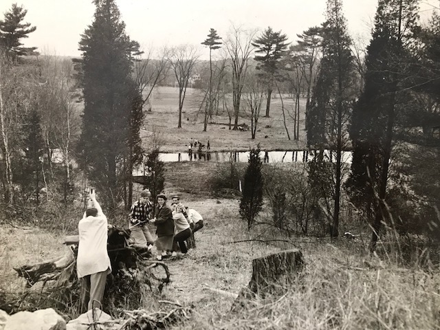 Clearing trees